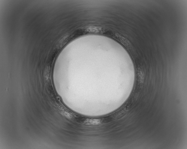 X0000080160665200701051606