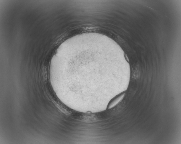 X0000080160666200701051607