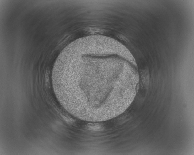 X0000080160667200701051607