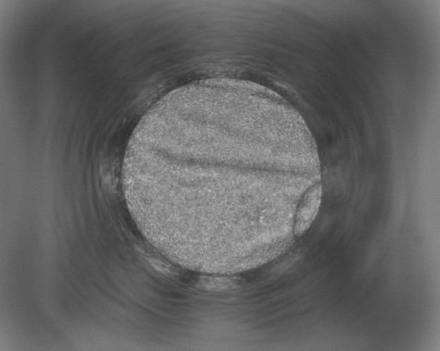 X0000080160671200701051607