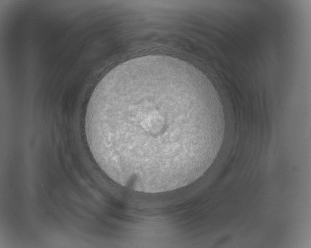 X0000080160672200701051607