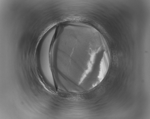 X0000080160674200701051606