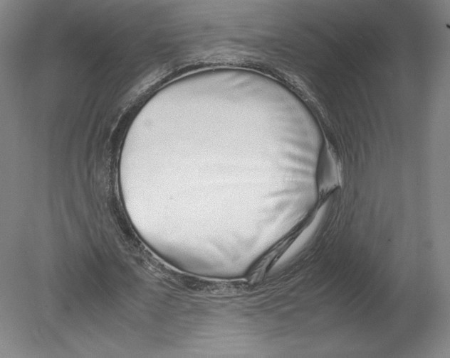 X0000080160675200701051606