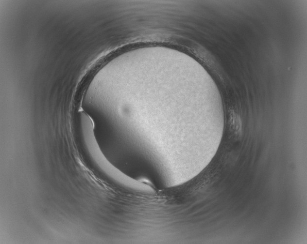 X0000080160676200701051606