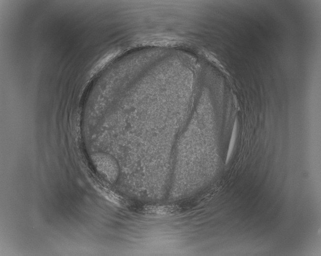 X0000080160679200701051606