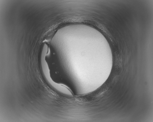 X0000080160681200701051606