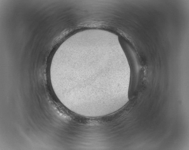 X0000080160682200701051606