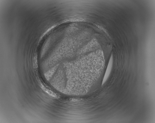 X0000080160684200701051606