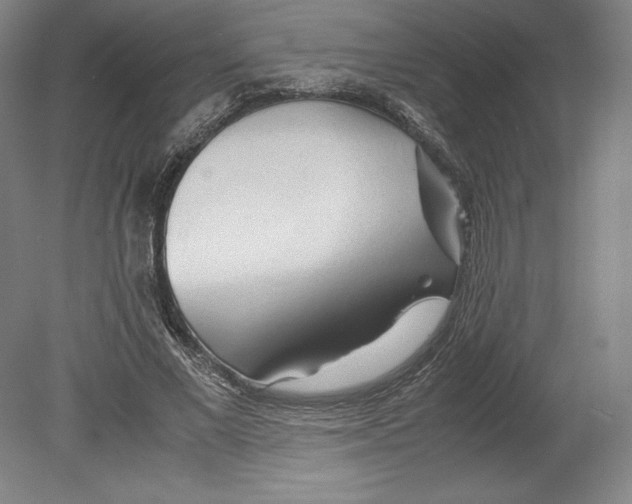 X0000080160685200701051606