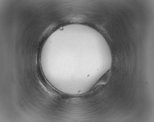 X0000080160686200701051606