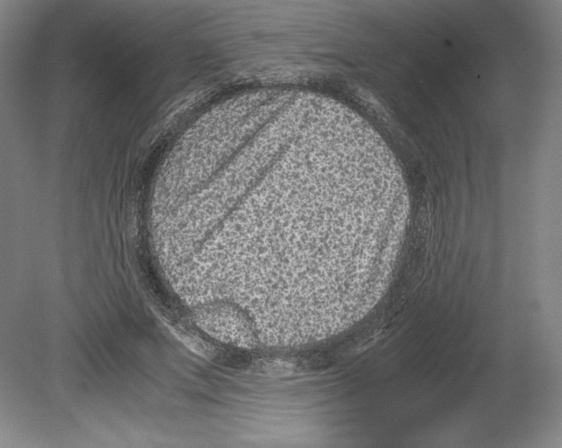 X0000080160687200701051606