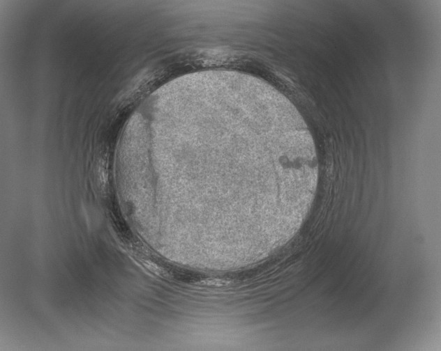 X0000080160691200701051606