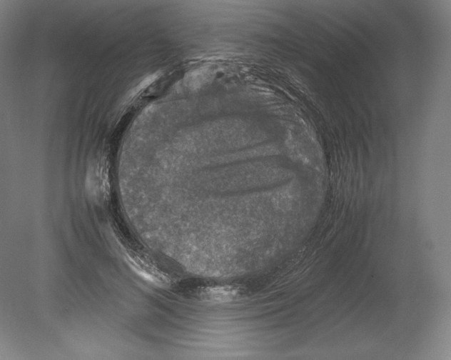 X0000080160692200701051605