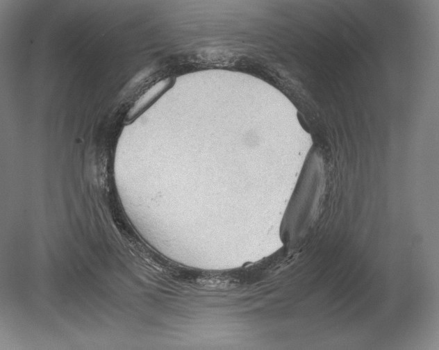 X0000080160693200701051605