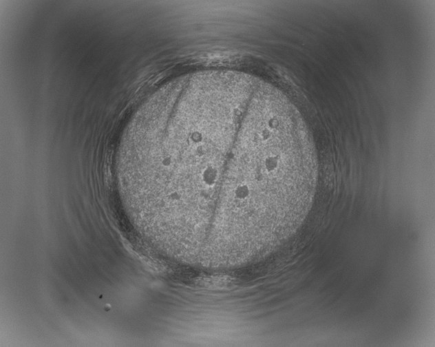 X0000080160695200701051605