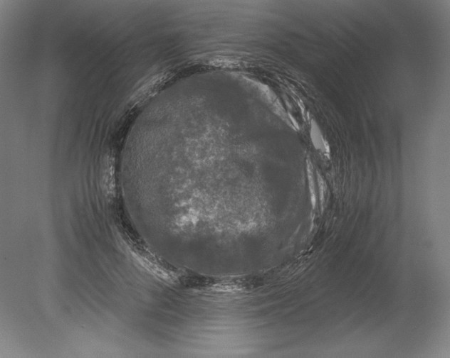 X0000080160696200701051605