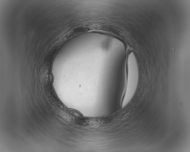 X0000080160697200701051605