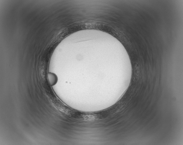 X0000080160698200701051605