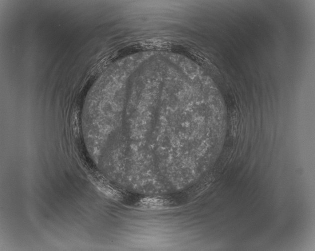 X0000080160699200701051605