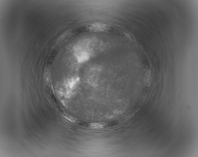 X0000080160701200701051605