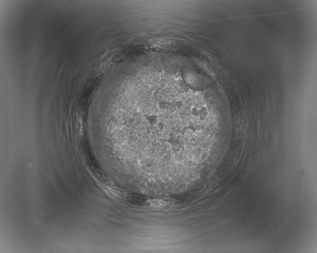 X0000080160703200701051605