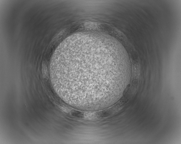 X0000080160705200701051605