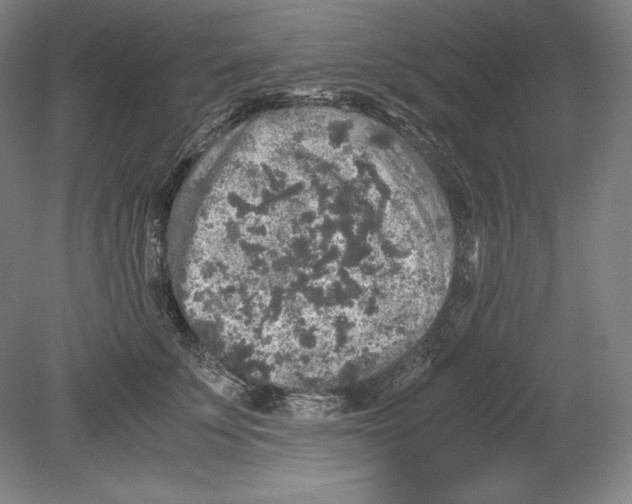 X0000080160707200701051605