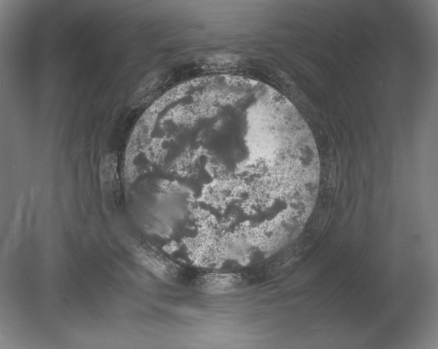 X0000080160711200701051605