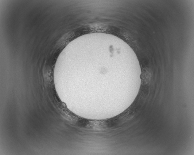 X0000080160713200701051605