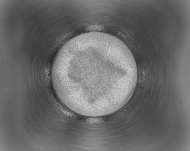 X0000080160714200701051605