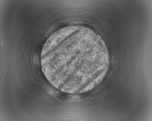 X0000080160715200701051605