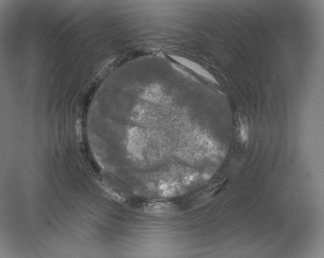 X0000080160716200701051605