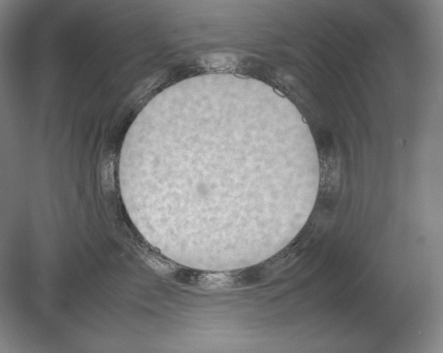 X0000080160717200701051605