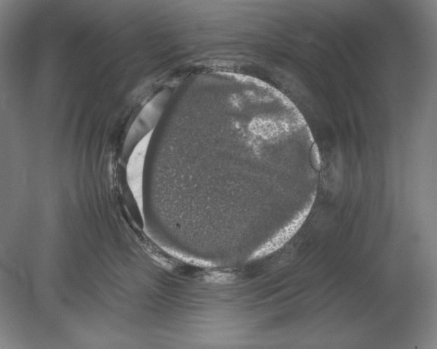 X0000080160718200701051605