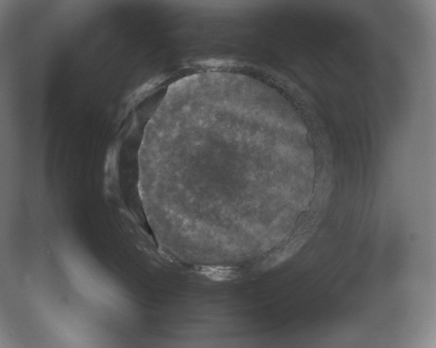 X0000080160720200701051605