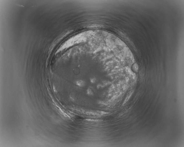 X0000080160721200701051604