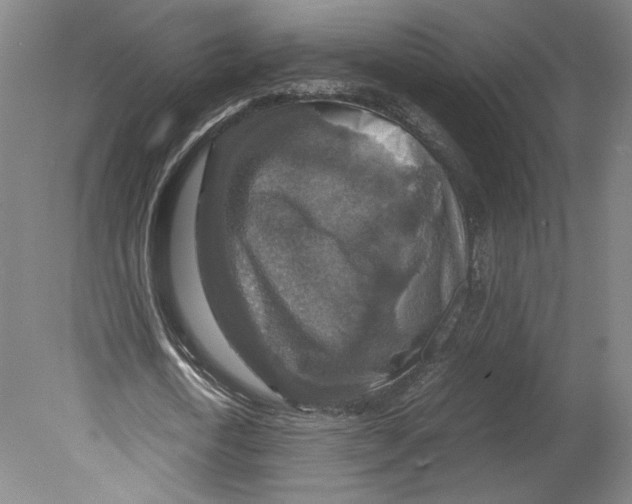 X0000080160722200701051604