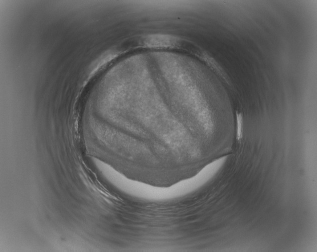 X0000080160723200701051604