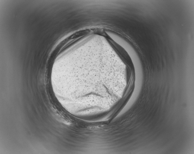 X0000080160724200701051604