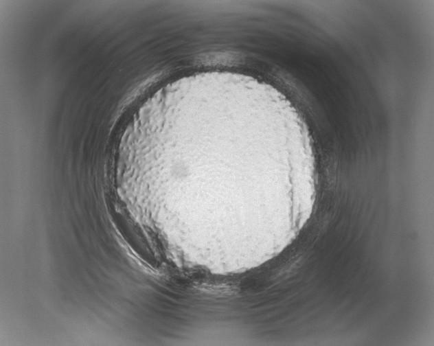 X0000080160725200701051604