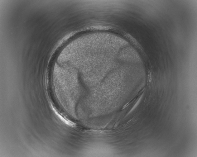 X0000080160726200701051604