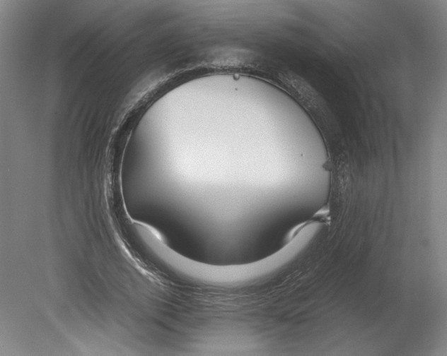 X0000080160728200701051604