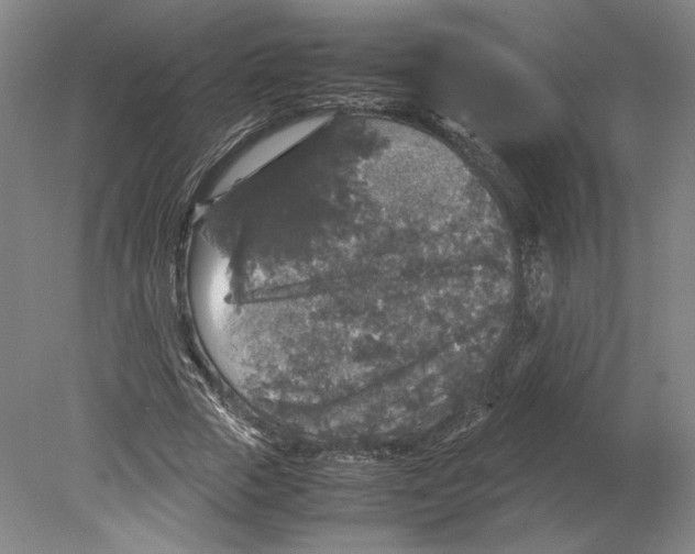 X0000080160729200701051604