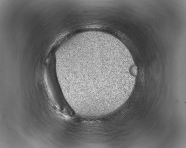 X0000080160731200701051604