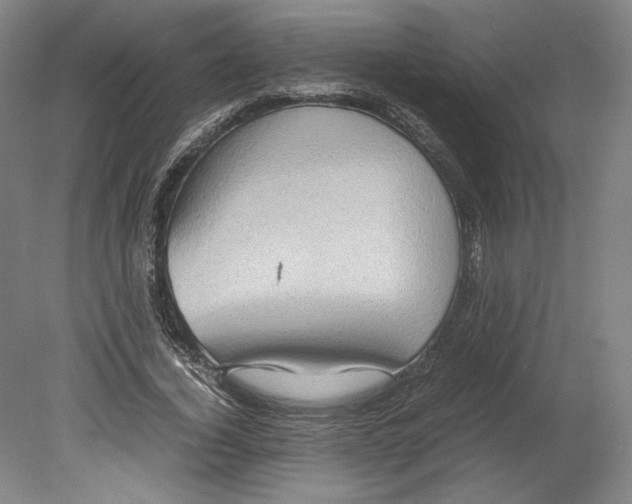 X0000080160732200701051604