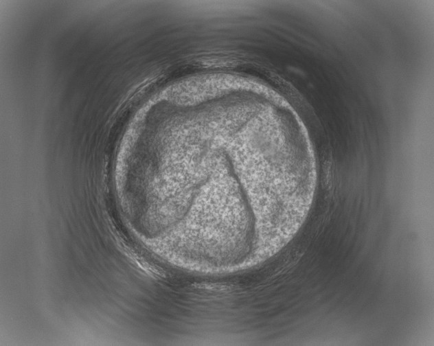 X0000080160733200701051604