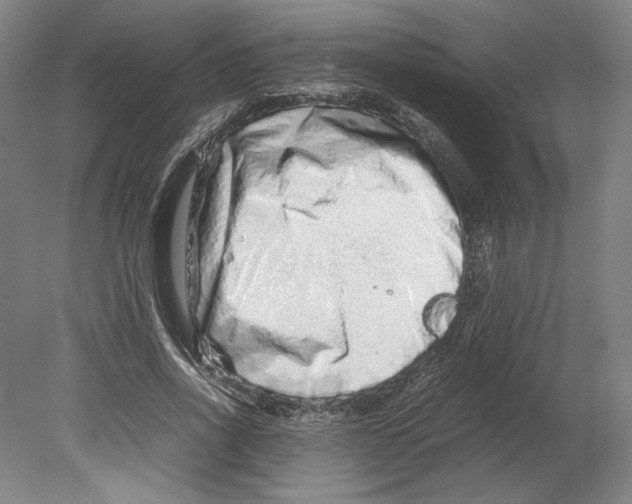 X0000080160734200701051604