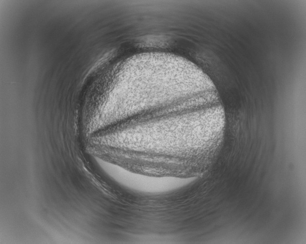 X0000080160735200701051604