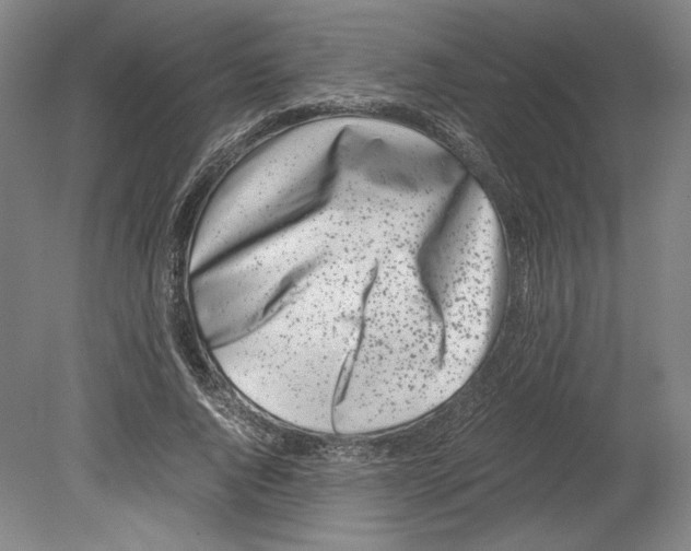 X0000080160736200701051604