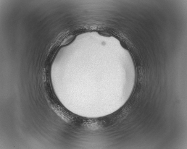 X0000080160738200701051605